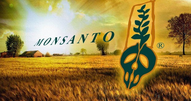6 ways Monsanto are destroying humanity