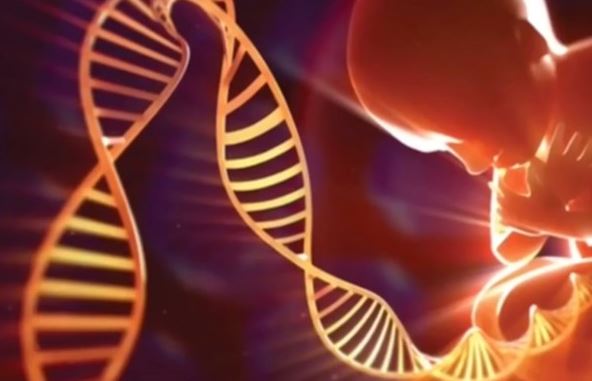 Genetically modified children: Baby born with DNA from three different people