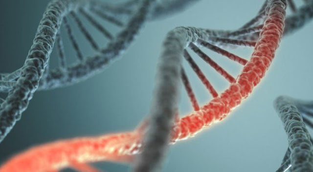 Scientists Discover 238 Genes That Could Significantly Extend Human Lifespan