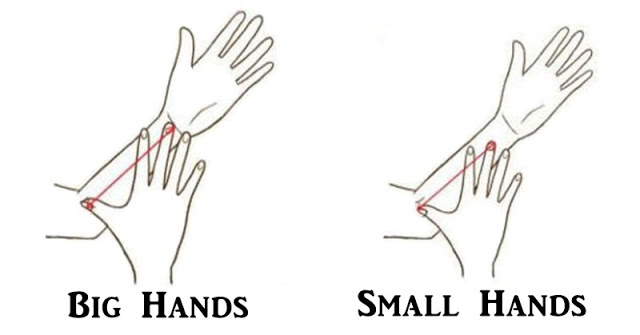 THIS Is What Your Hand Size Says About Your Personality!
